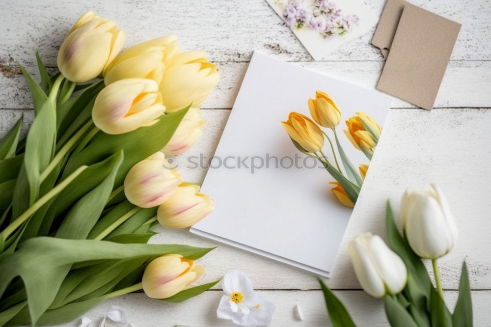 Similar – Hands preparing a Red tulips arrangement