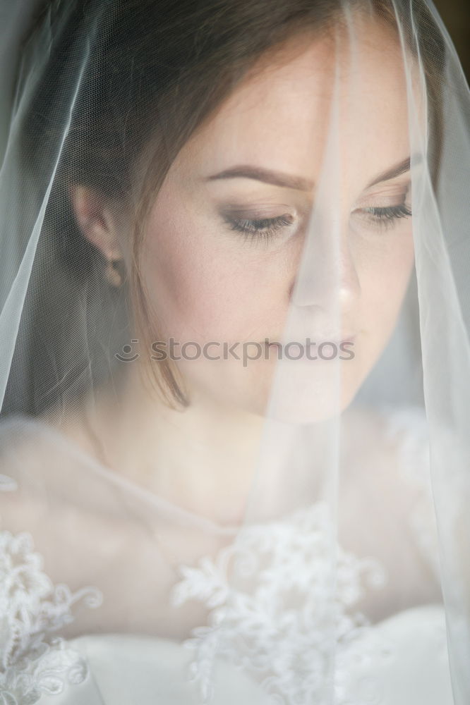 Similar – Foto Bild bride elegant Stil