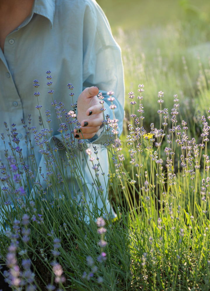 Similar – Image, Stock Photo Picking flowers