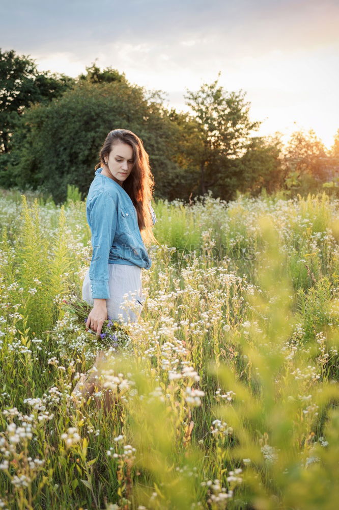 Similar – Young woman resting in a field of flowers