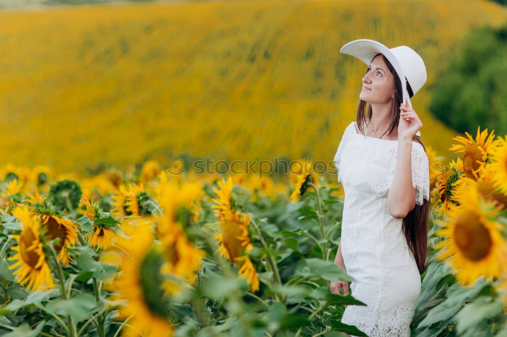 Similar – Image, Stock Photo A bouquet full of summer