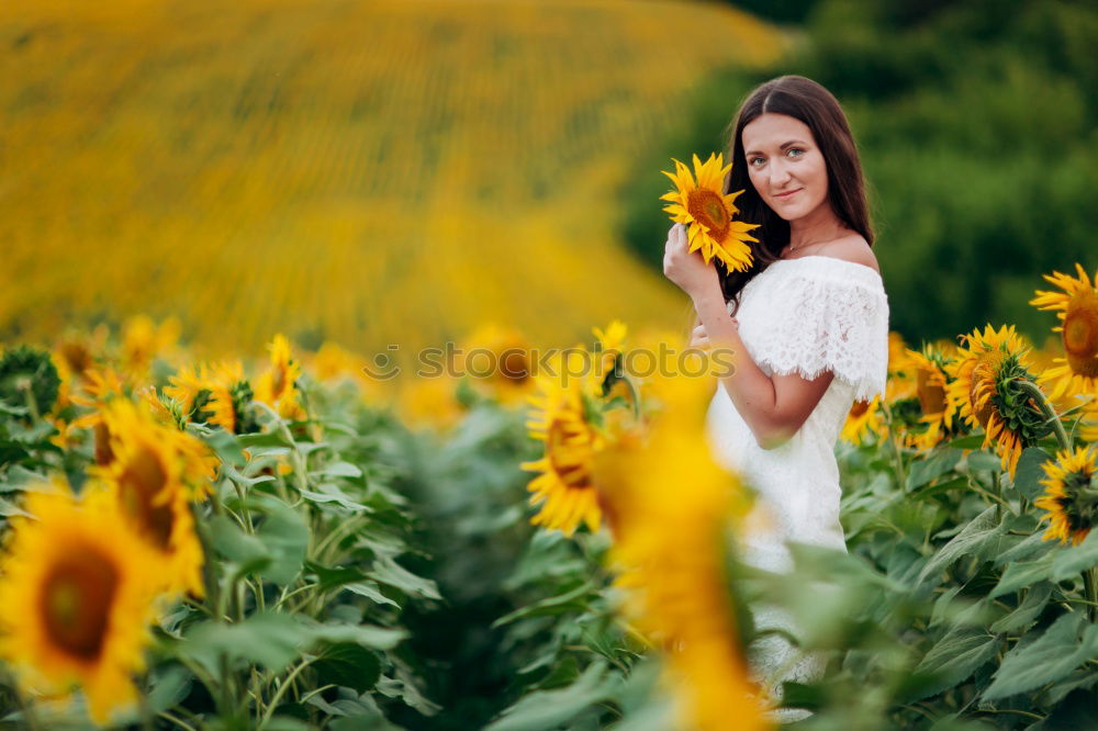 Similar – Image, Stock Photo A bouquet full of summer