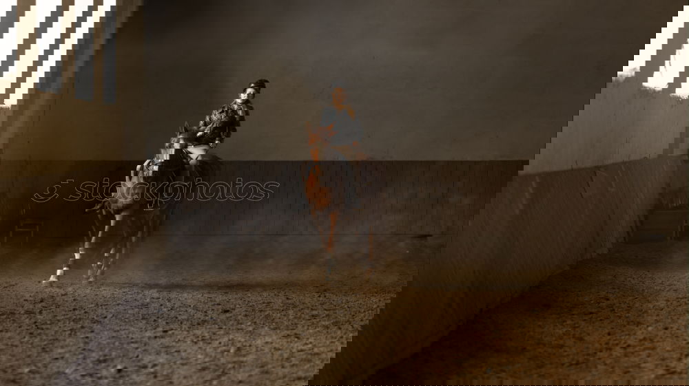 Similar – Image, Stock Photo tripod Ride Animal