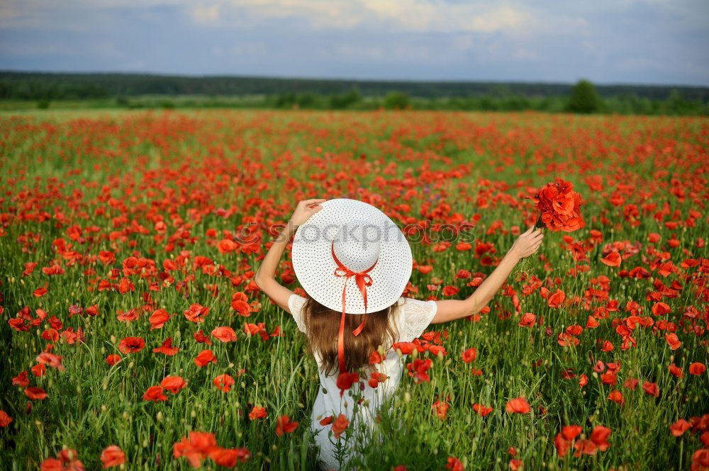 Image, Stock Photo yoga Poppy Corn poppy