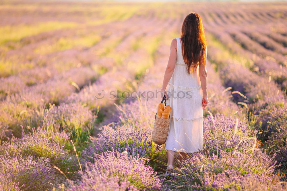 Similar – LAVENDER GIRL Happy