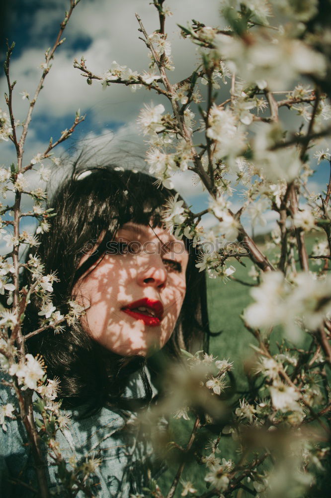 Similar – Image, Stock Photo Young retro woman holding persimmons