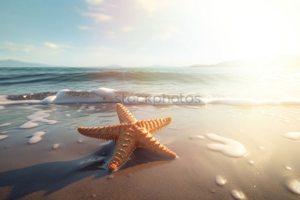 Similar – Image, Stock Photo Umbrella on beach near sea