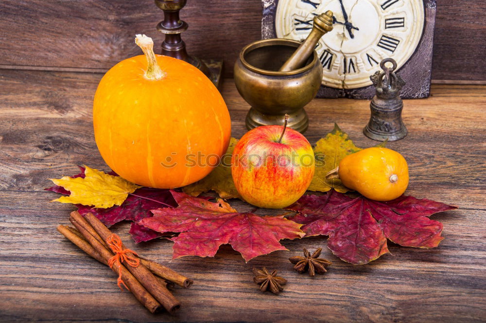 Similar – Autumn decoration with pumpkin and make leaves