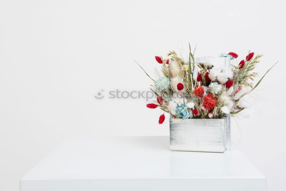 Image, Stock Photo Beautiful tulips in glass vase on white table