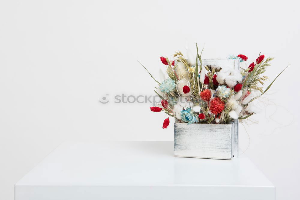 Similar – Image, Stock Photo Beautiful tulips in glass vase on white table