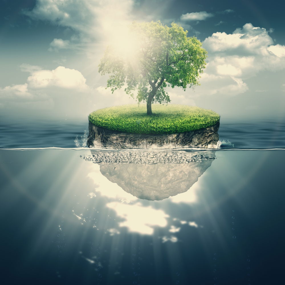 Similar – Image, Stock Photo Lonely tree on Lake Geneva