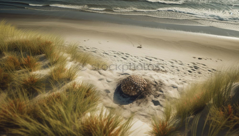 Similar – Image, Stock Photo Seagull&Lighthouse