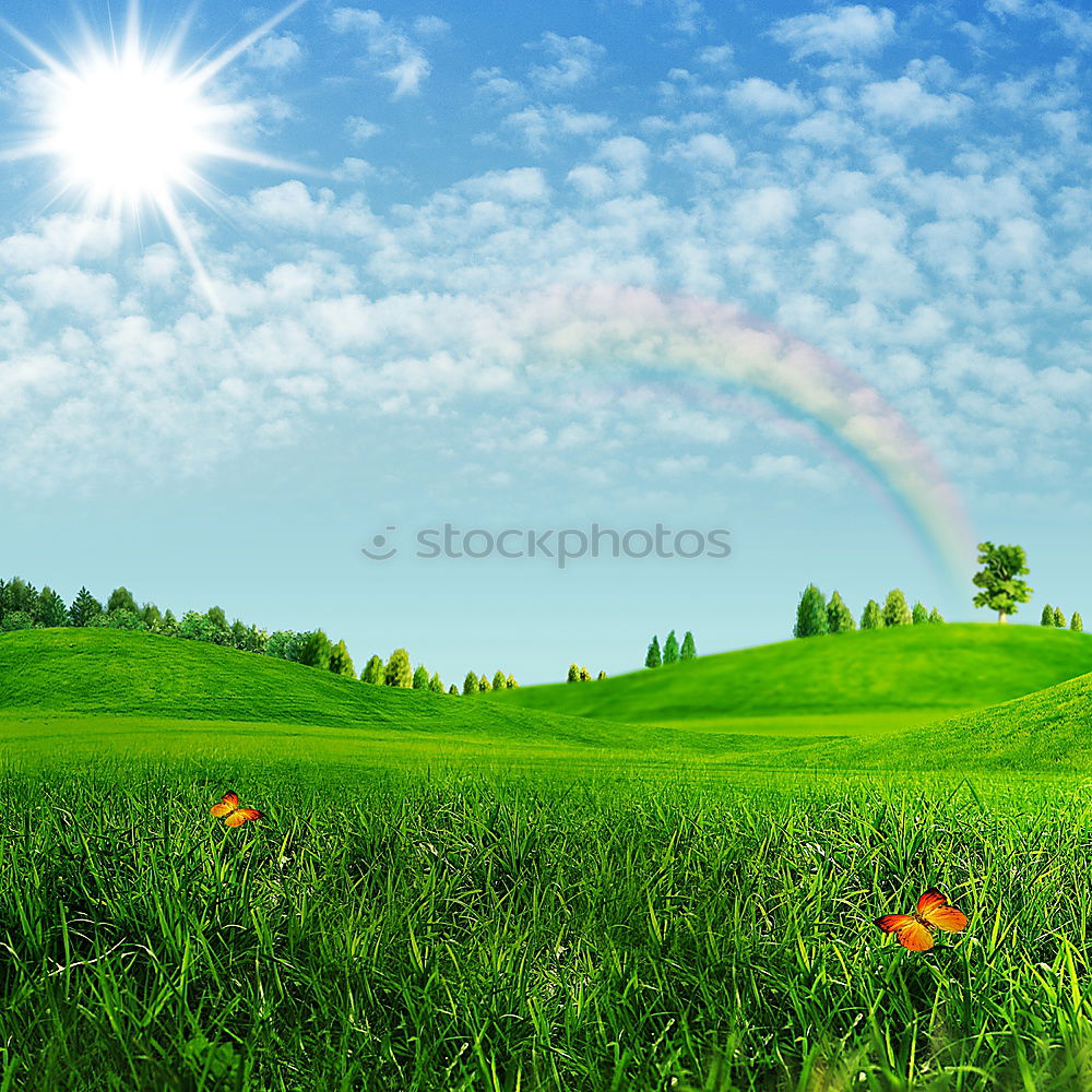 Similar – Baum im Grün Wiese Blume