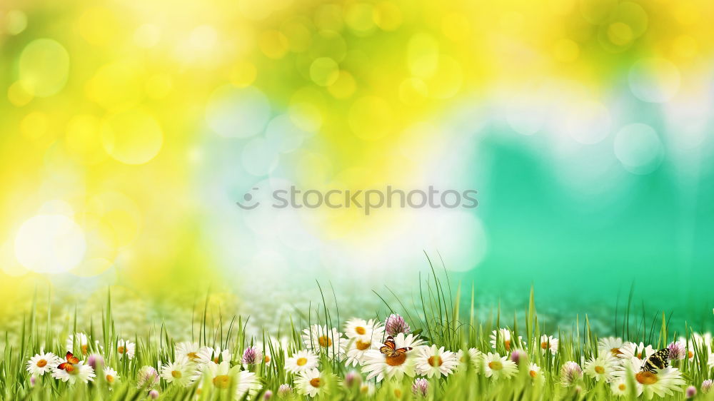 Similar – Image, Stock Photo Yellow flowers in the garden