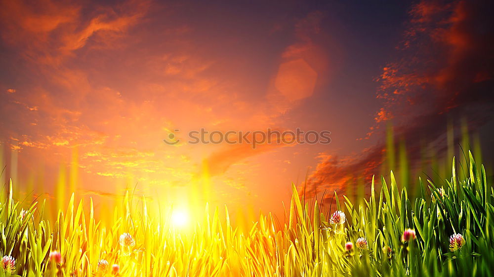 Similar – Image, Stock Photo Fireworks #12072015_0196