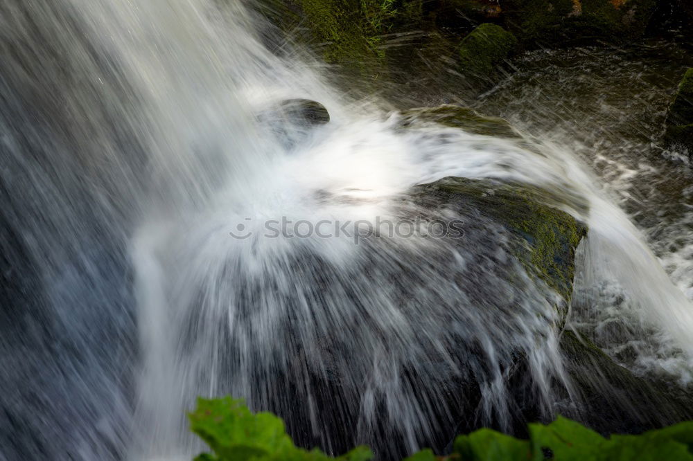 Similar – Image, Stock Photo pure nature Waterfall