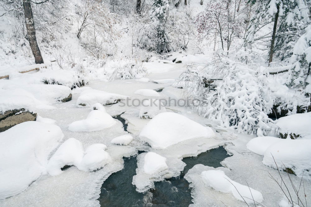 Similar – Foto Bild ein Riss geht durch den Schwarzwald !!!