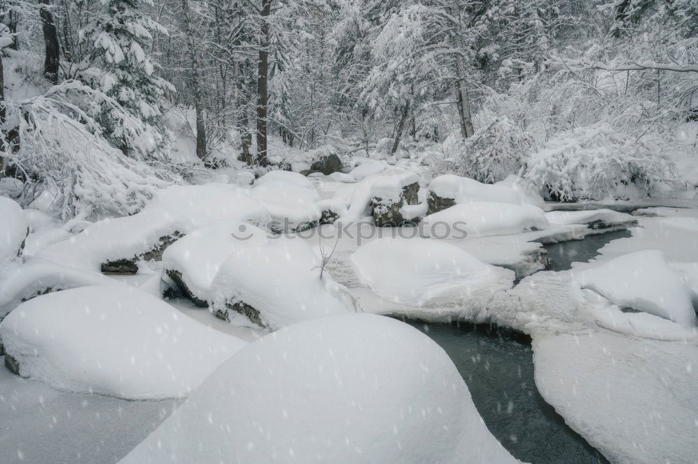 Similar – Foto Bild ein Riss geht durch den Schwarzwald !!!