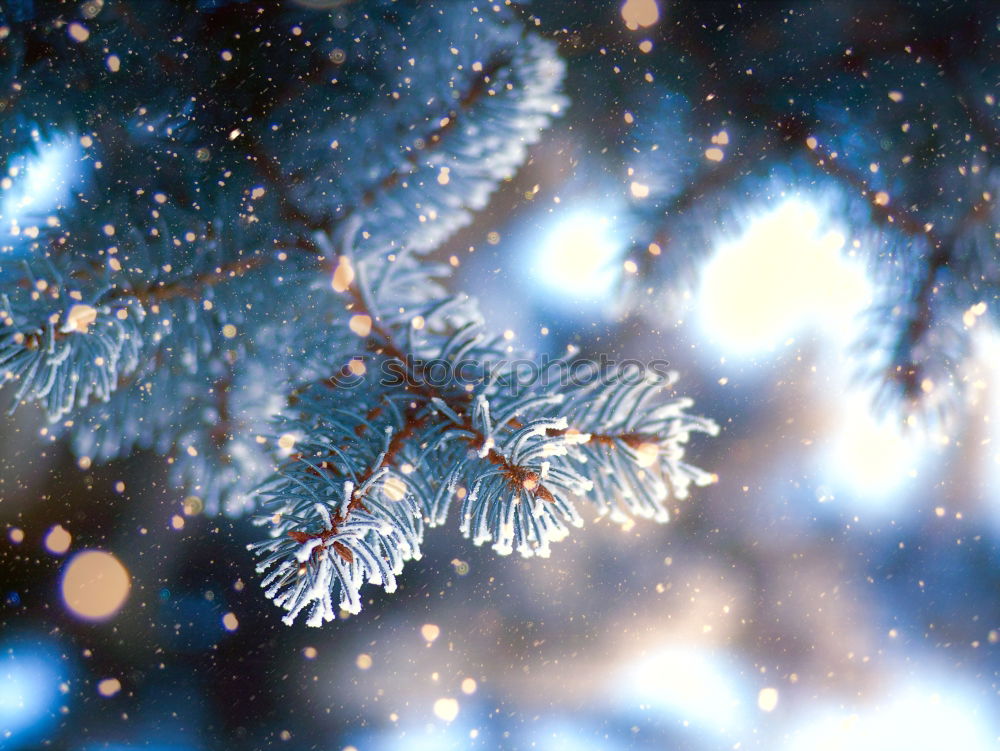 Similar – Image, Stock Photo snowflake (VI)