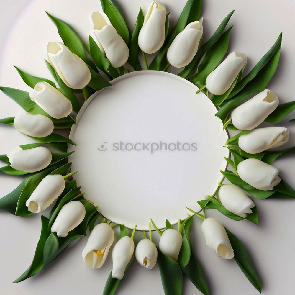 Similar – Image, Stock Photo Spring wreath with tulips