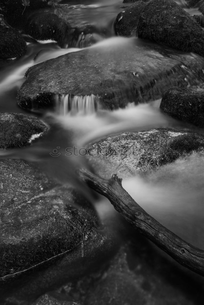 Similar – Image, Stock Photo brook Freedom Environment