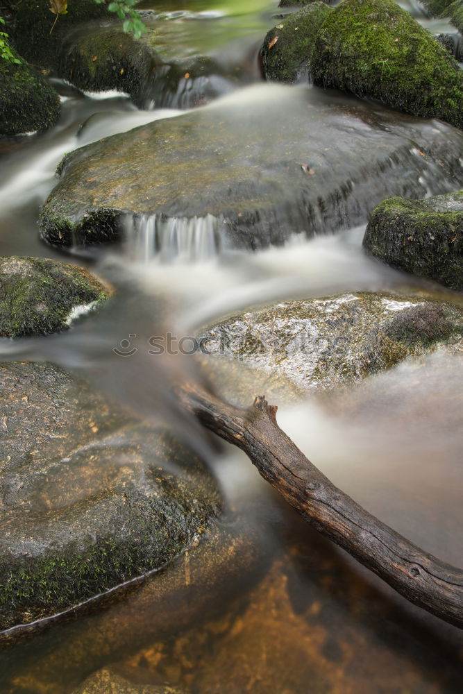 Similar – Stones in the riverbed