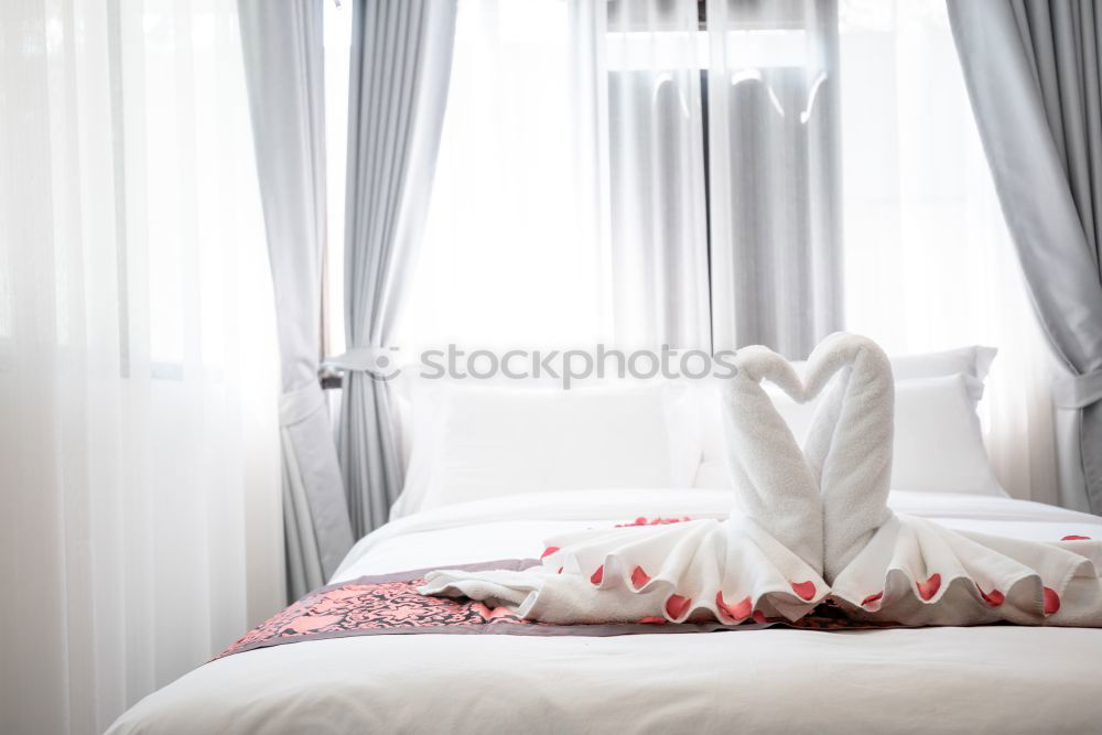 Similar – Image, Stock Photo alarm clock at 10 am on bedroom during morning, wake up concept