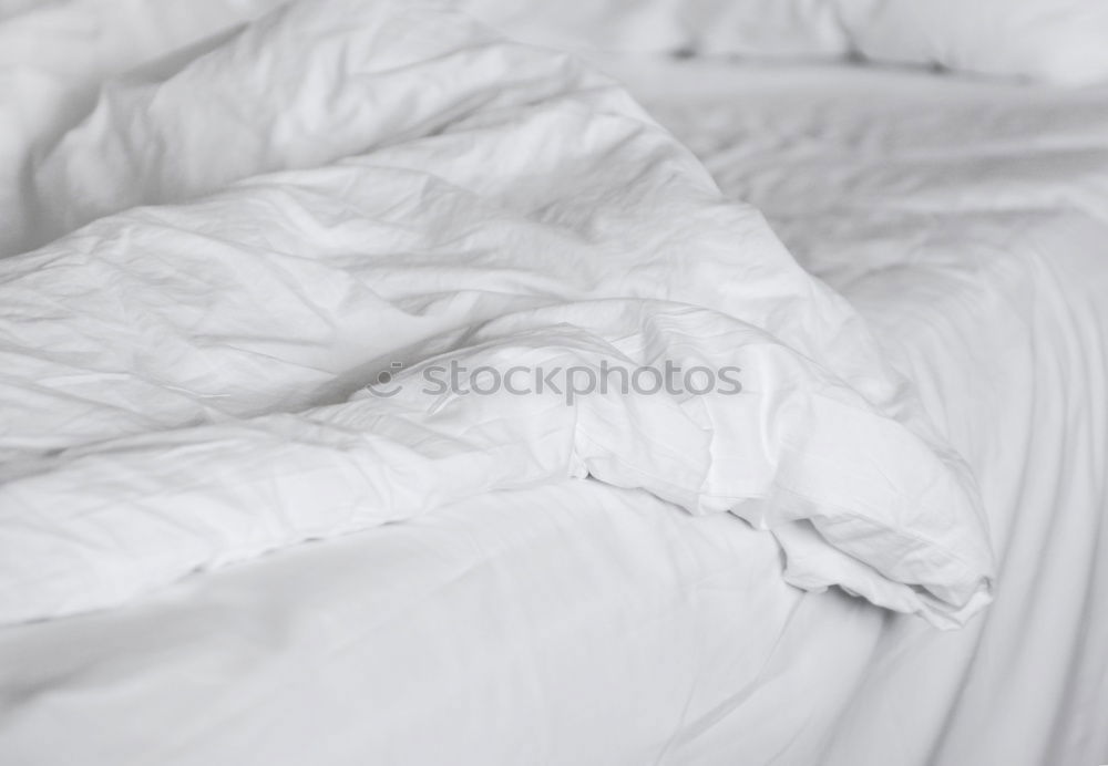 Similar – Image, Stock Photo Good morning Bed Bedroom