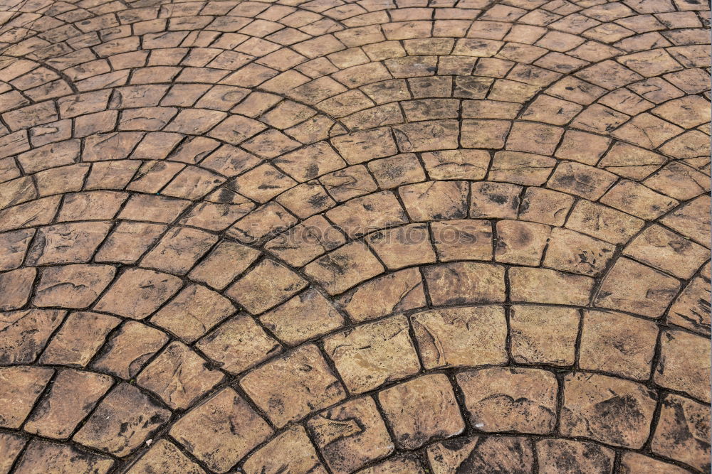 Similar – Dresden pavement Gully