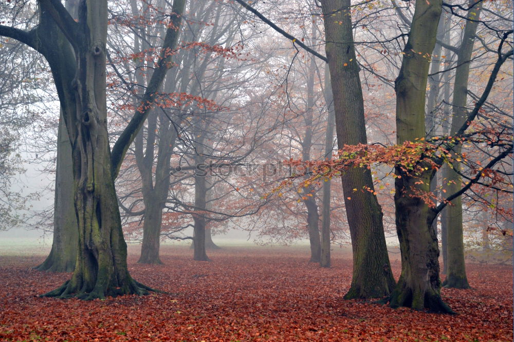 Similar – Image, Stock Photo high up Environment Nature