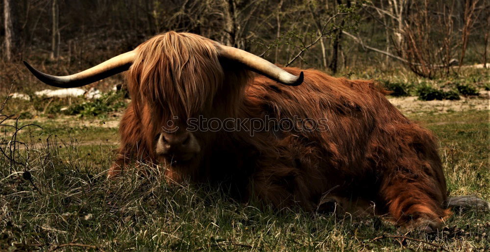 Similar – Image, Stock Photo A look into the new year…