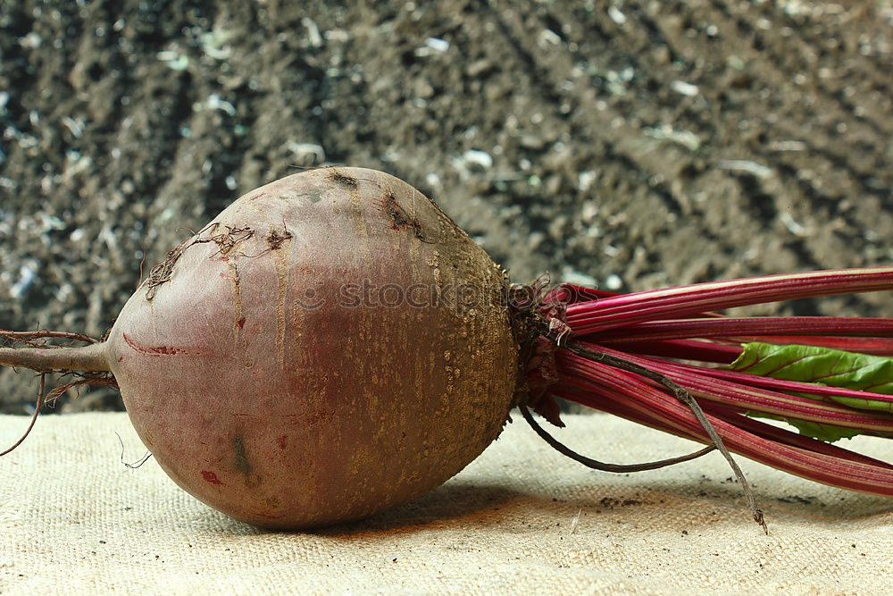 Similar – Image, Stock Photo Raw red beets are cut into pieces