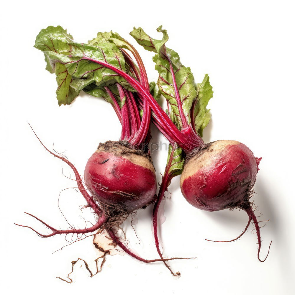 radish Food Vegetable