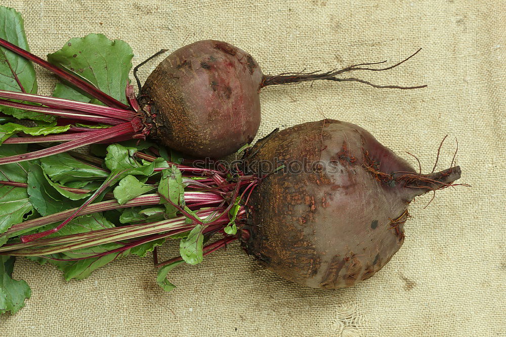 Similar – Image, Stock Photo Fresh beetroot in different varieties on an old wooden table