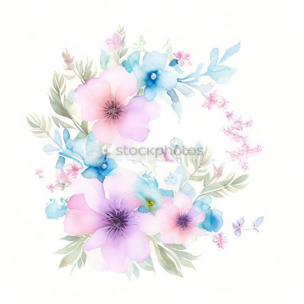 Similar – Image, Stock Photo Pastel pink flowers layout