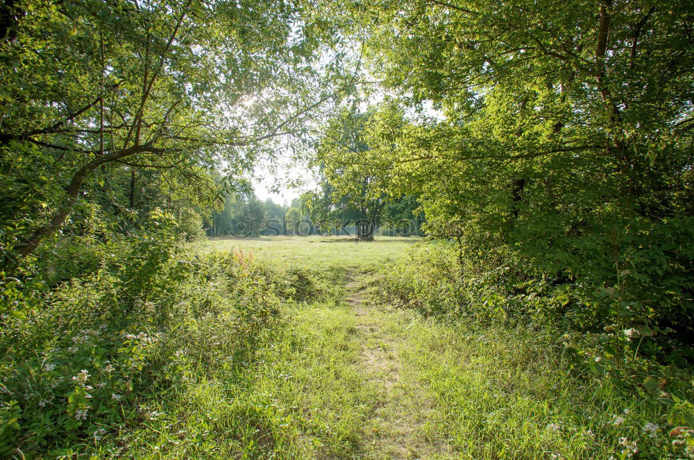 Similar – Foto Bild zufluchtsort wohnwagen
