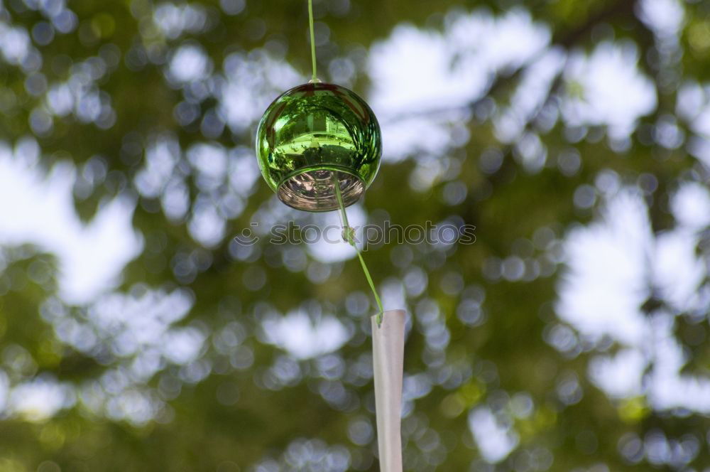 Similar – Green balloons vs. twigs