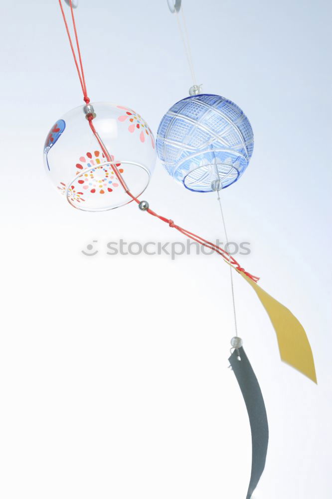 Similar – swooped Animal Fish 1 Net