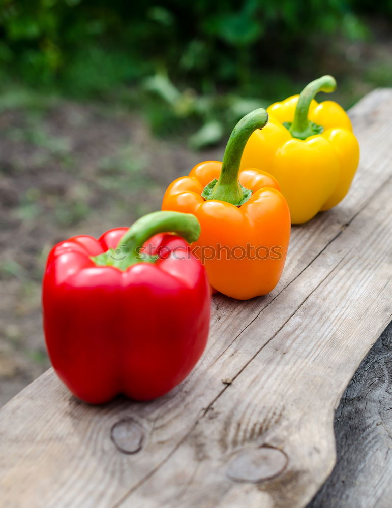 Similar – Image, Stock Photo red moon Food Vegetable