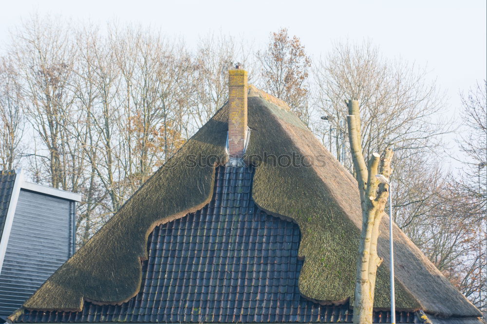 Similar – Image, Stock Photo durable | natural roof