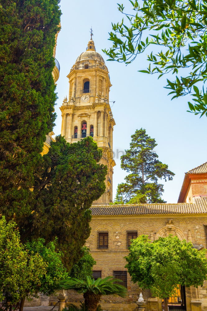 Image, Stock Photo XXIII Rome