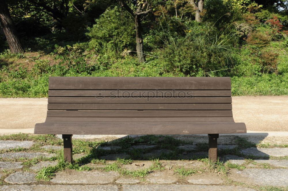 Similar – Foto Bild sitzstreik Deich Gras