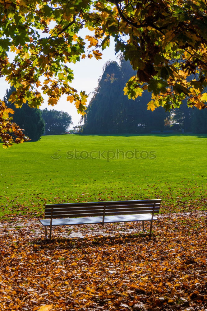 Similar – Autumn in Hyde Park, London.