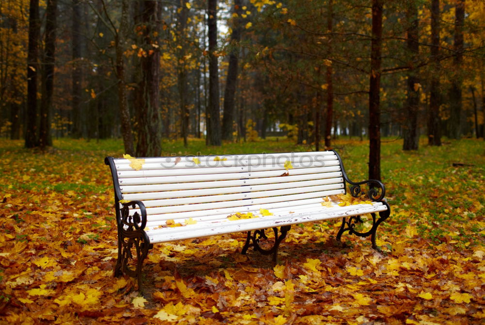 Similar – Image, Stock Photo ParkBank Park bench