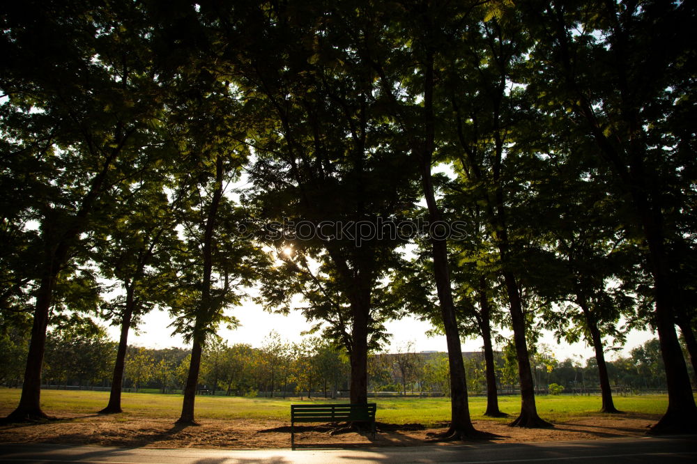 Similar – Foto Bild Chamansülz/Abendstimmung