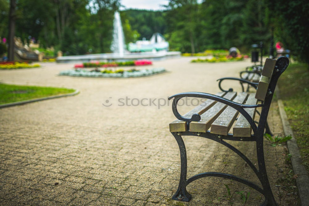 Similar – Image, Stock Photo shaving seat Spa gardens