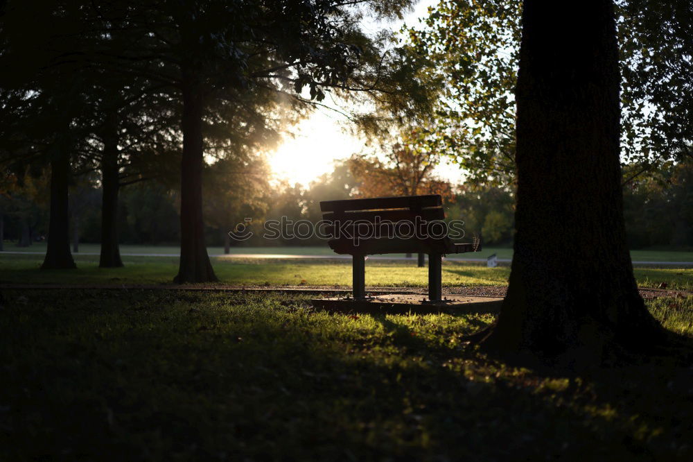 Image, Stock Photo Lonely in the sunset