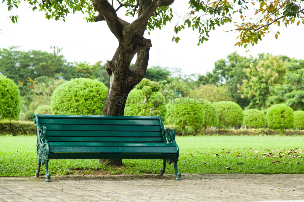 Similar – red bench in park Garden