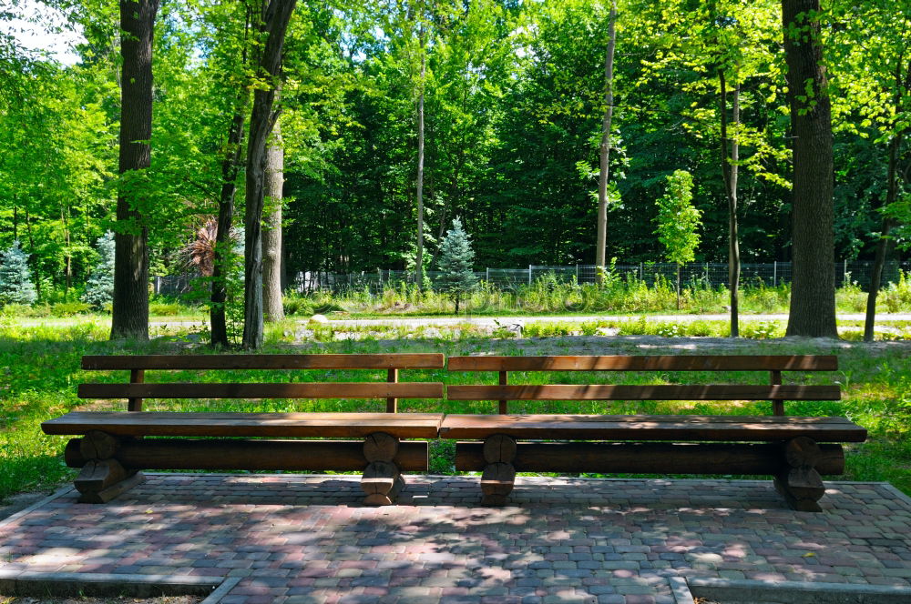 Similar – Image, Stock Photo shaving seat Spa gardens