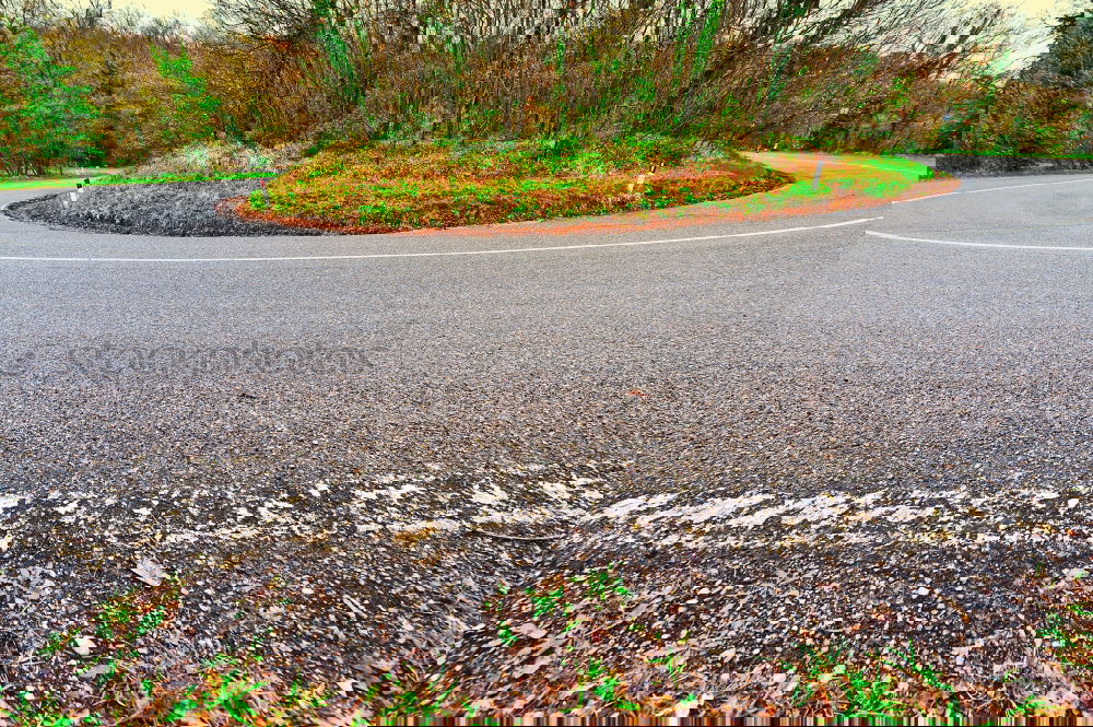Similar – Foto Bild .Urbaner Bewuchs